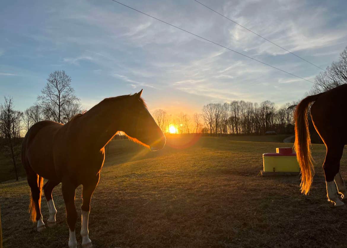 Camper-submitted photo at Morning View Farms near Westmoreland, TN