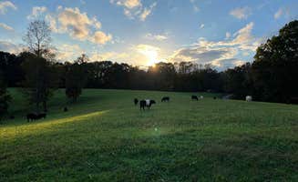 Carrie T.'s photo of camping with pets at Morning View Farms in Kentucky