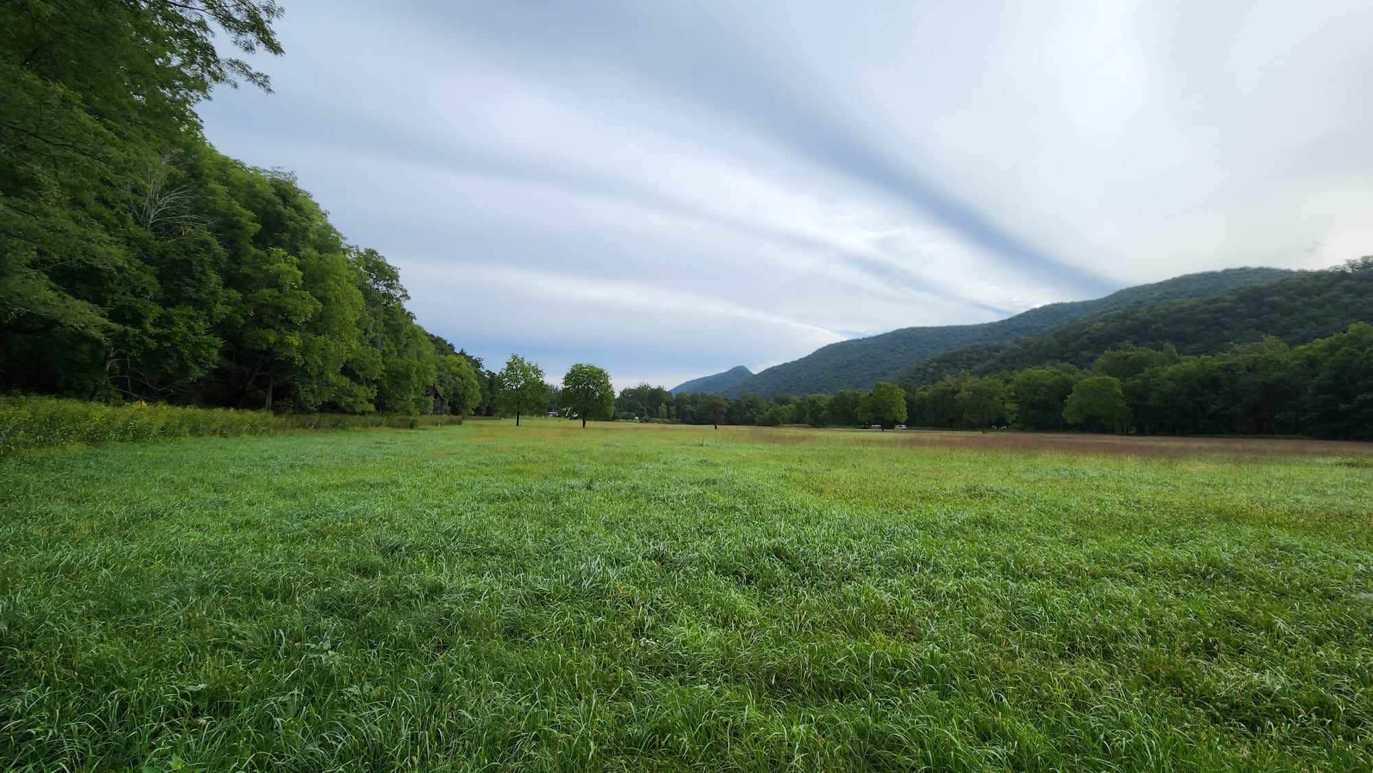 Camper-submitted photo at The Trout Camp near Durbin, WV