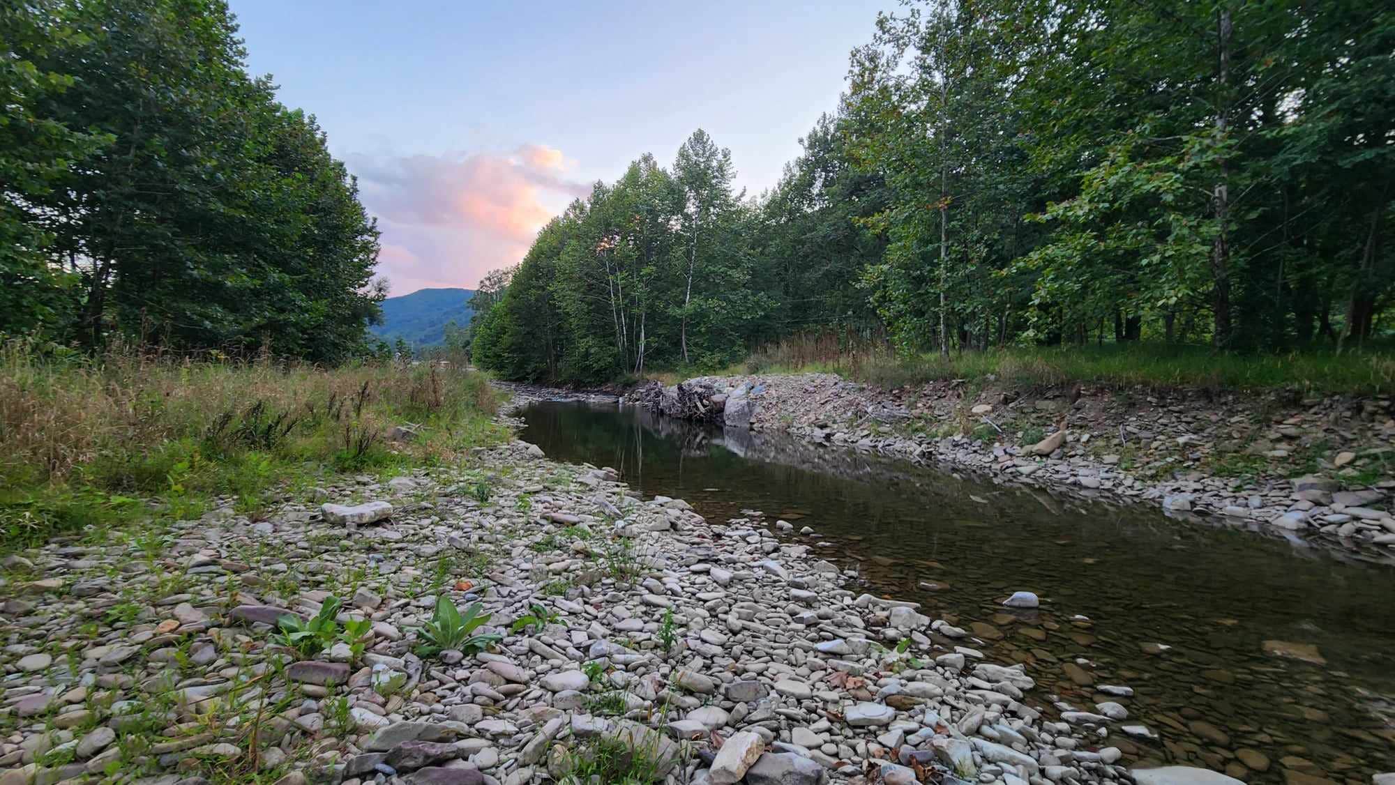 Camper-submitted photo at The Trout Camp near Durbin, WV