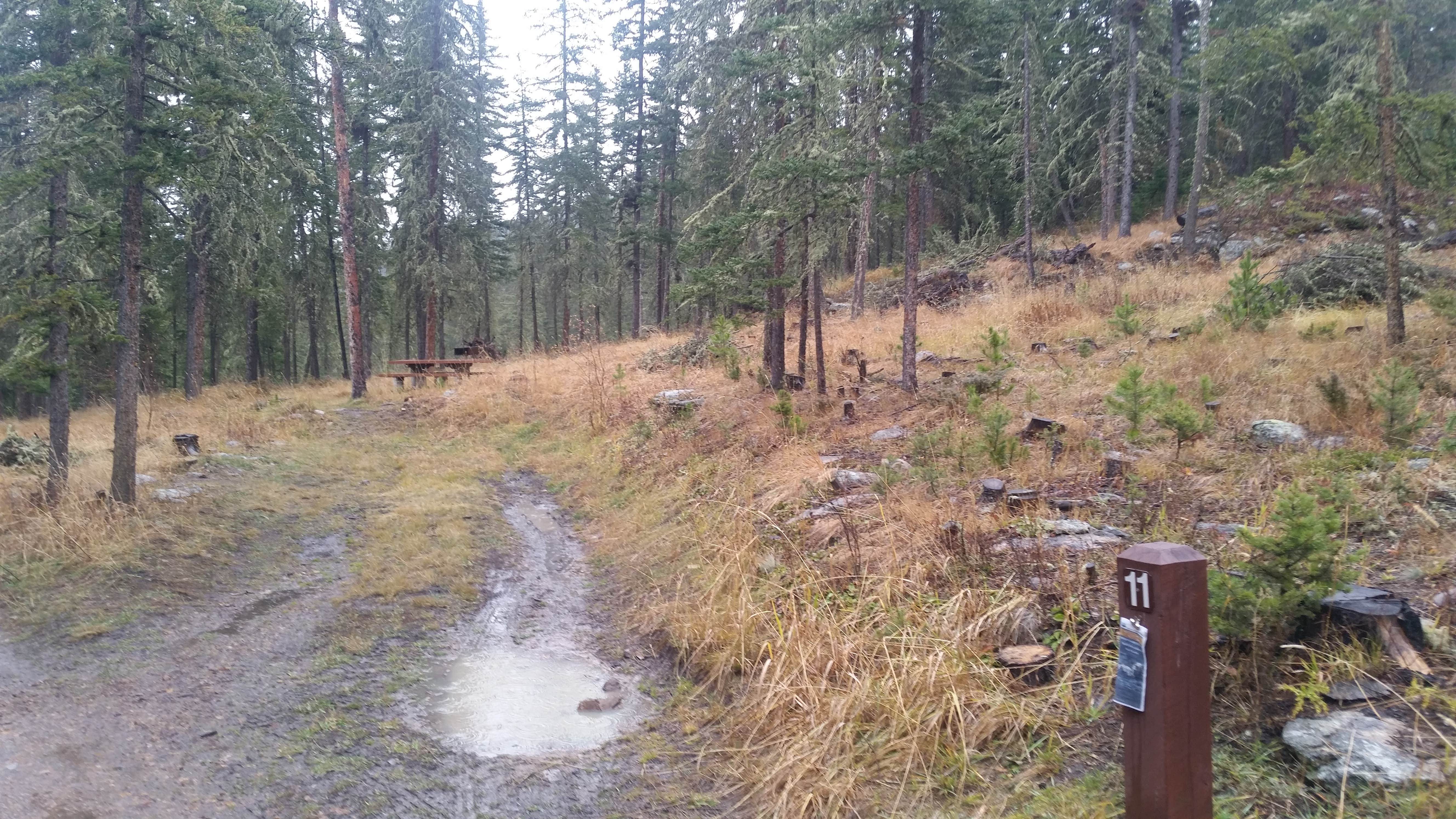 Camper-submitted photo at Grasshopper near White Sulphur Springs, MT