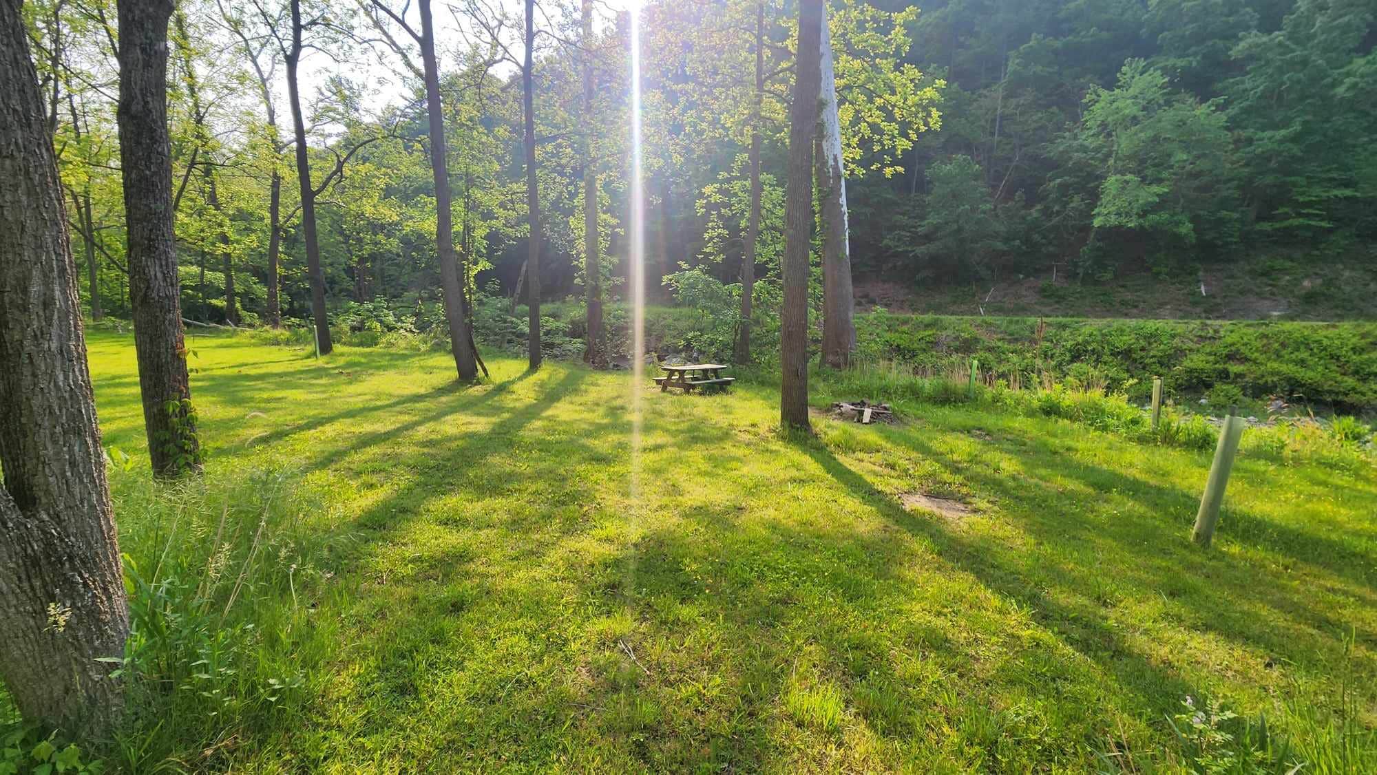 Camper-submitted photo at The Trout Camp near Durbin, WV