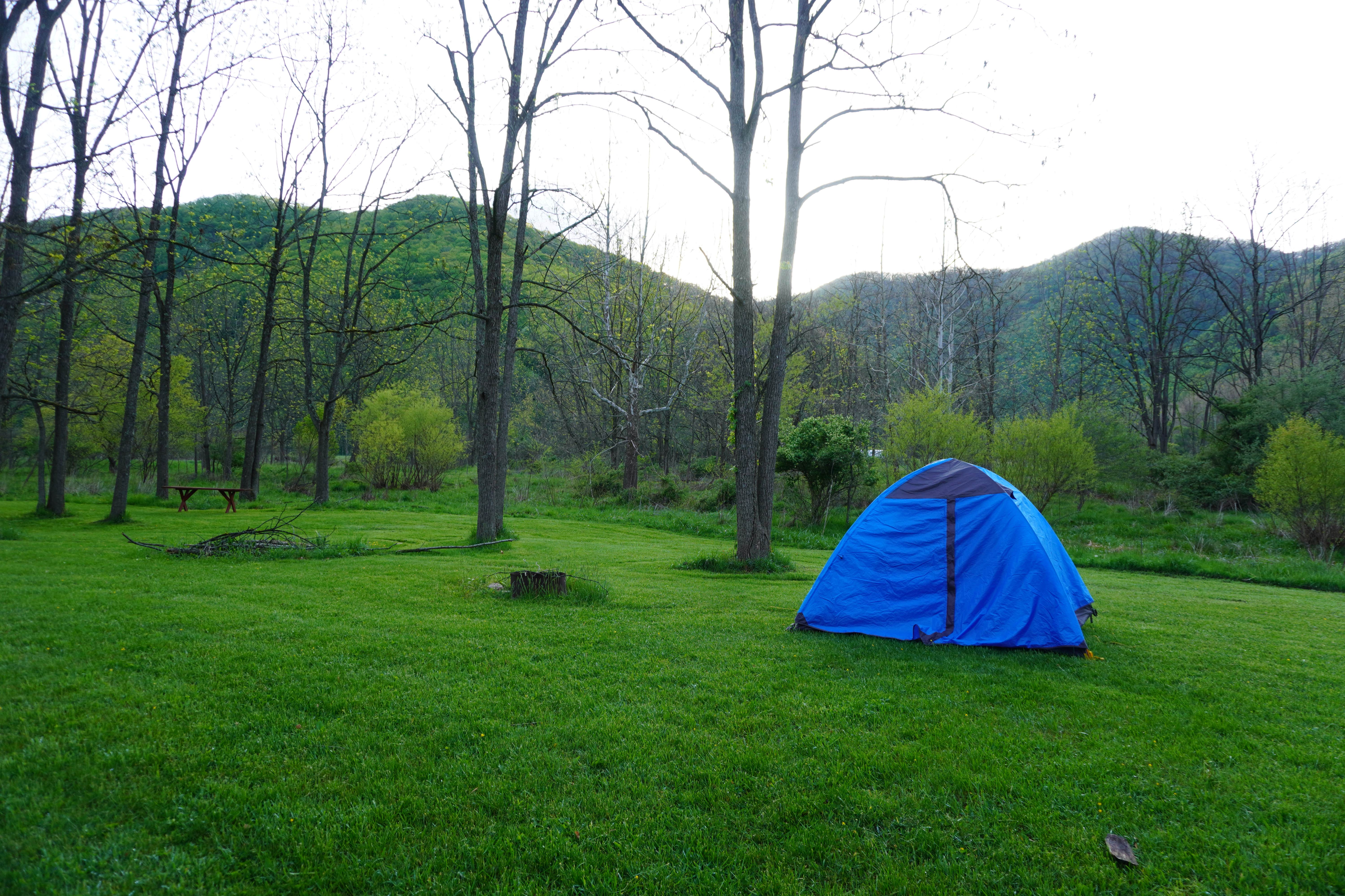 Dustin W.'s photo at The Trout Camp near Blue Grass, VA