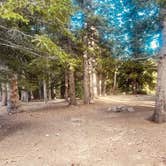 Review photo of Hoosier Pass Dispersed Camping by Nicola , August 10, 2023