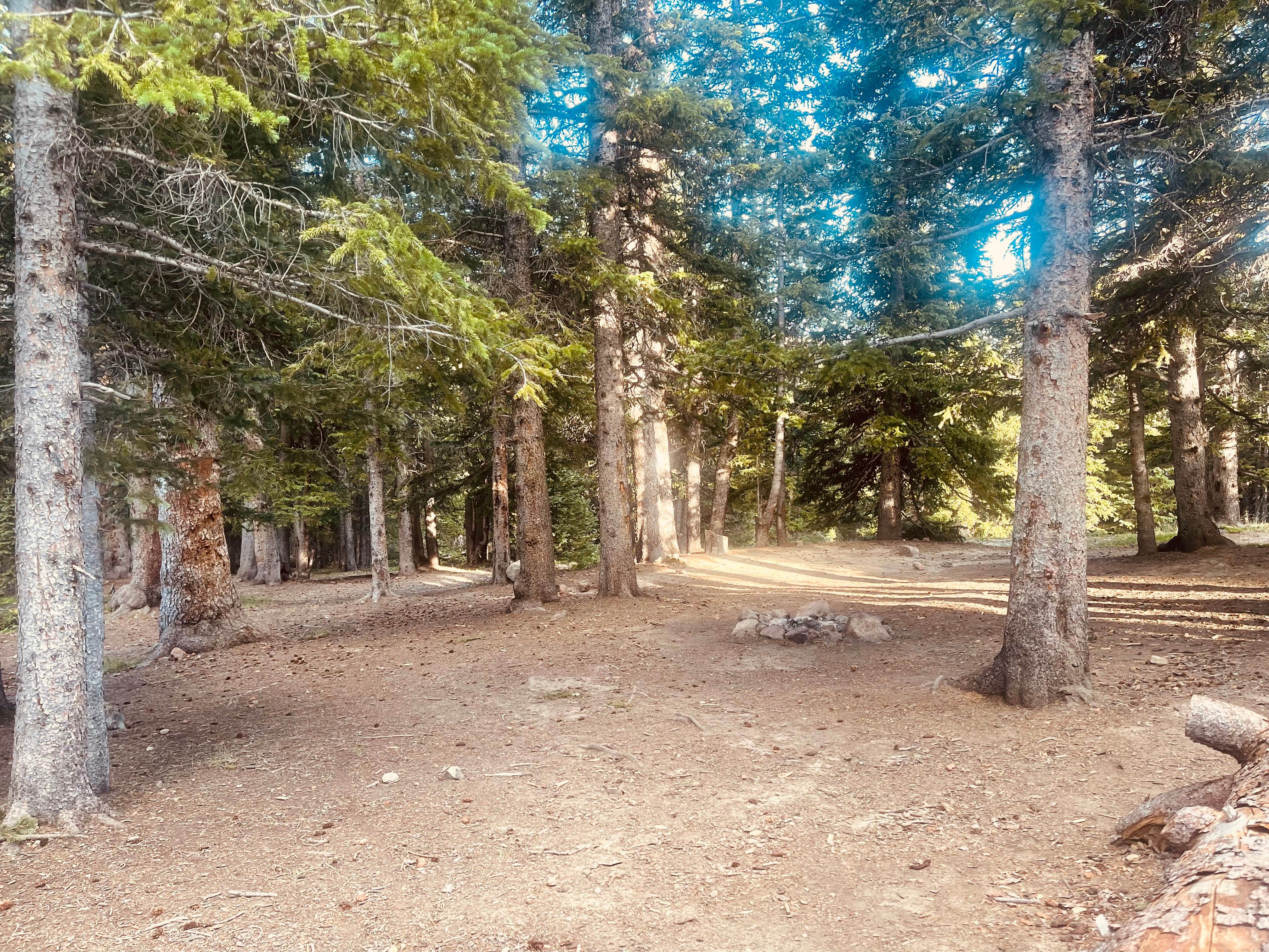 Camper submitted image from Hoosier Pass Dispersed Camping - 4