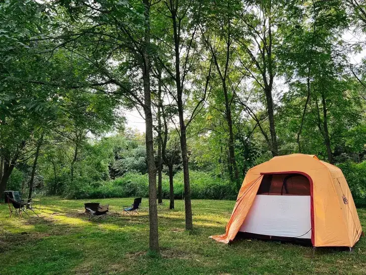Camper-submitted photo at Farm on the Creek near Mill Hall, PA