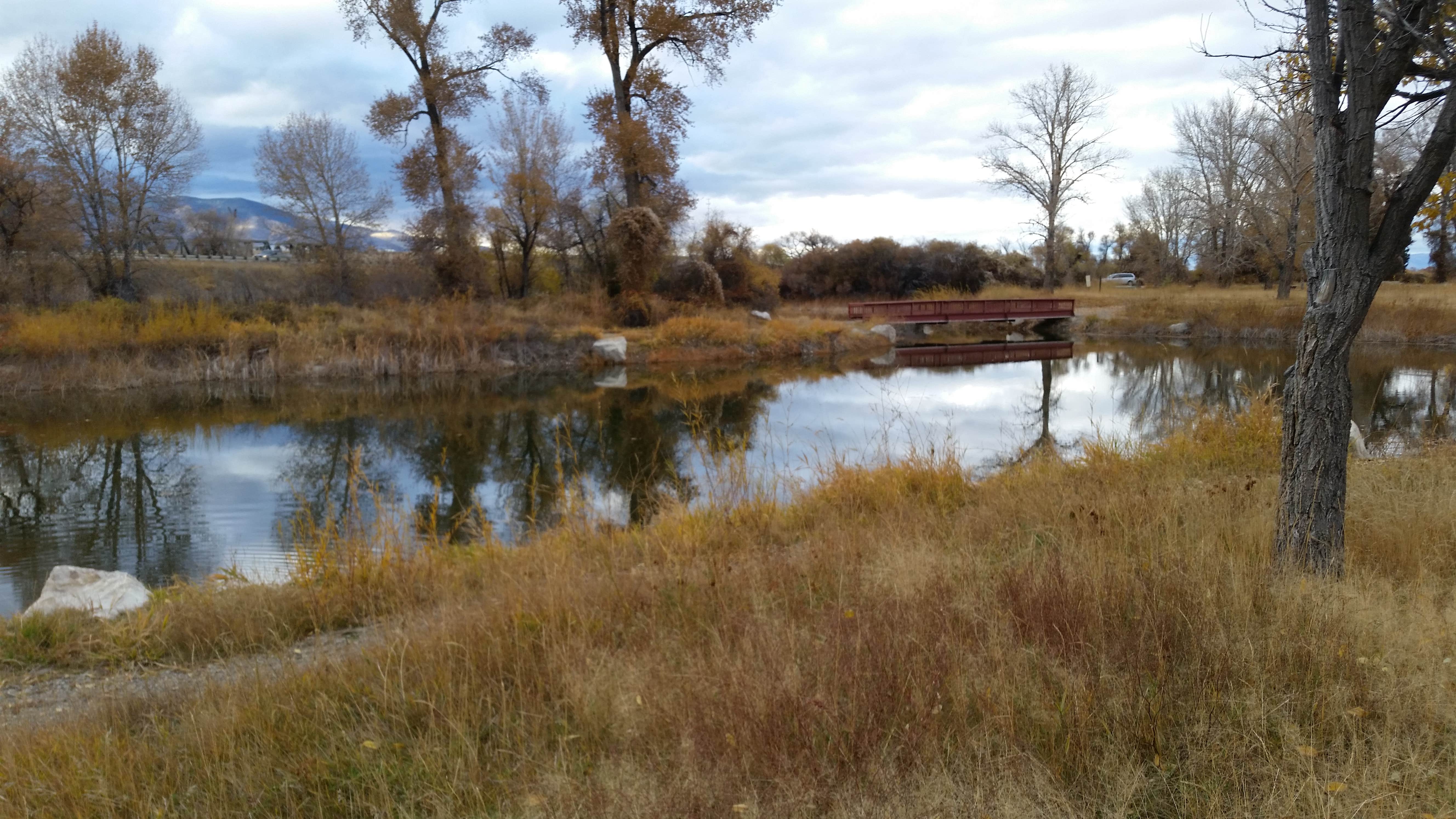 Camper submitted image from Indian Road Campground - 5