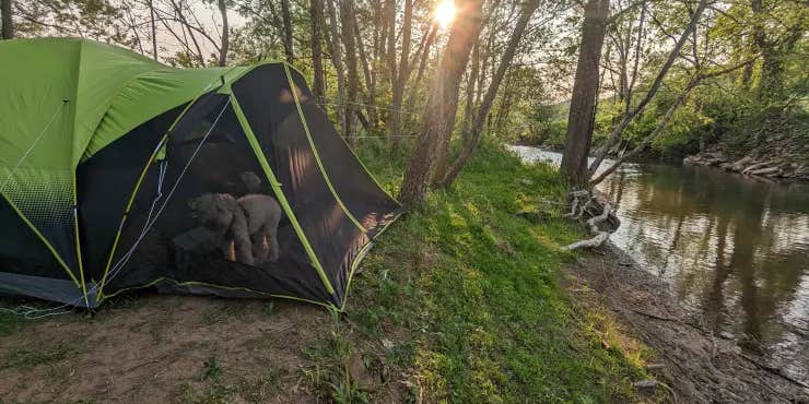 Camper submitted image from Farm on the Creek