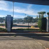 Review photo of Pirateland Family Camping Resort by Tessa E., August 10, 2023
