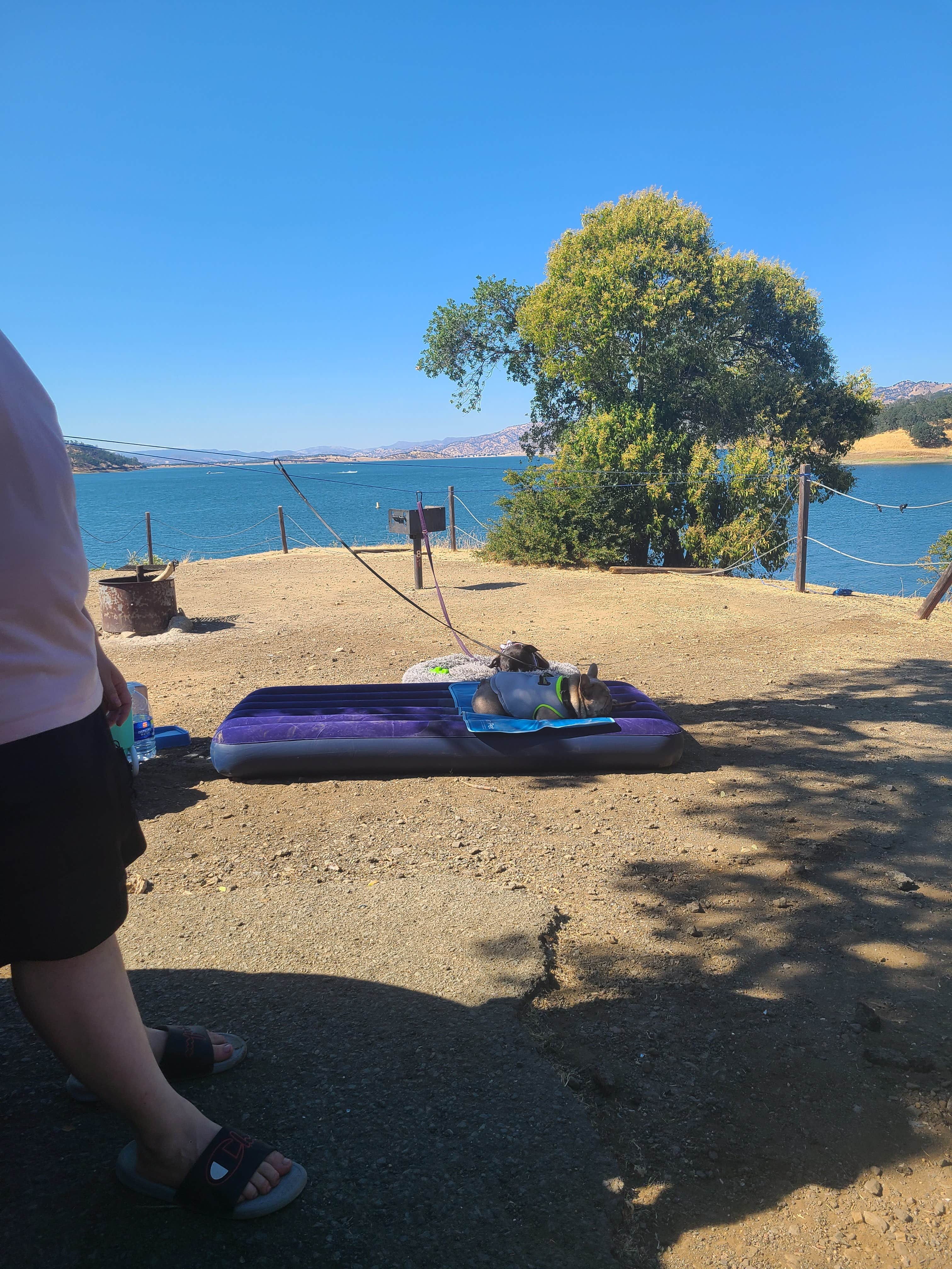 Camper submitted image from Manzanita Canyon - Lake Berryessa - USBR - 4