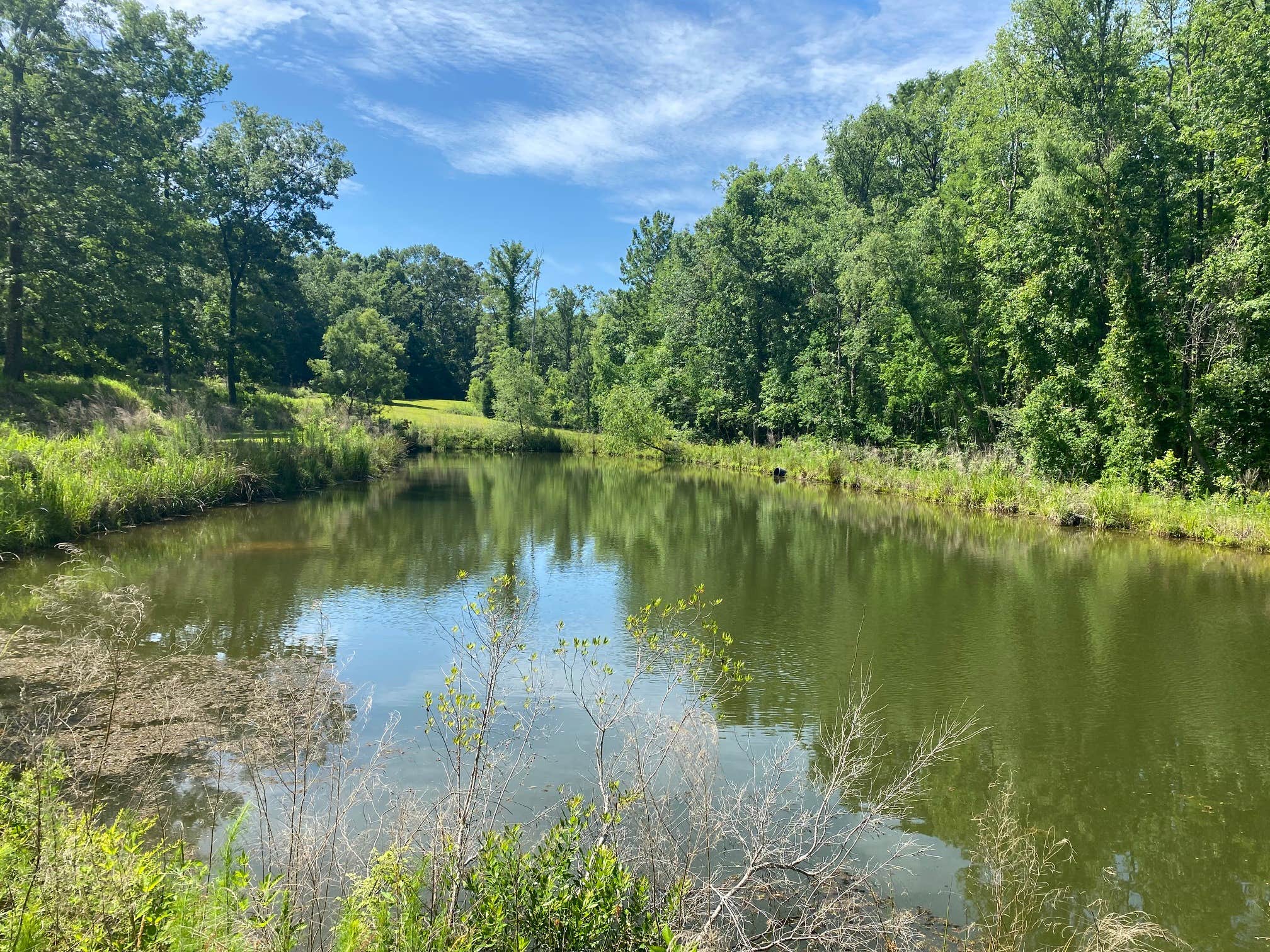 Camper submitted image from Oak Ridge River Park - 1