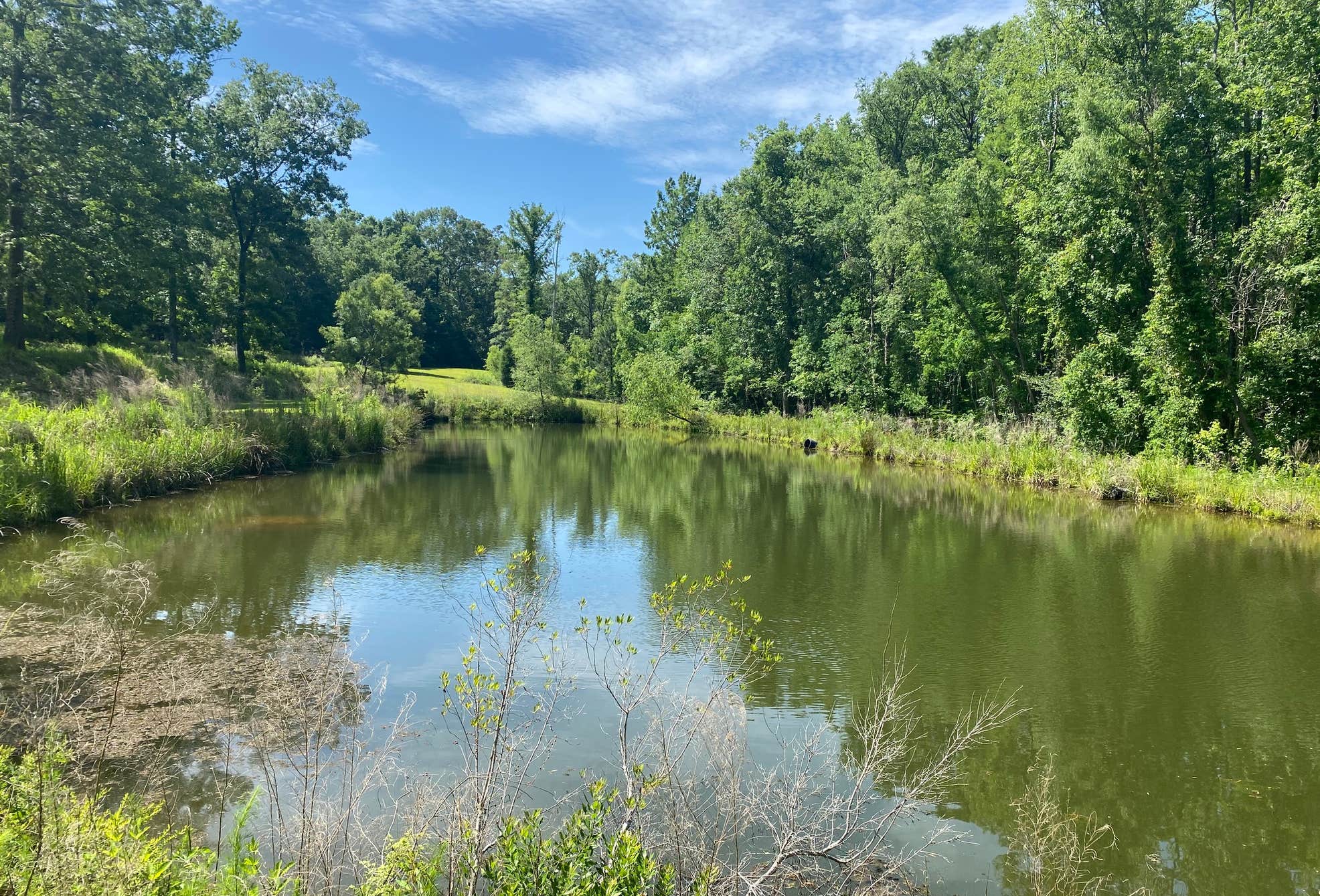 River Ridge Alabama Oak Ridge River Park Camping | Bay Minette, Alabama
