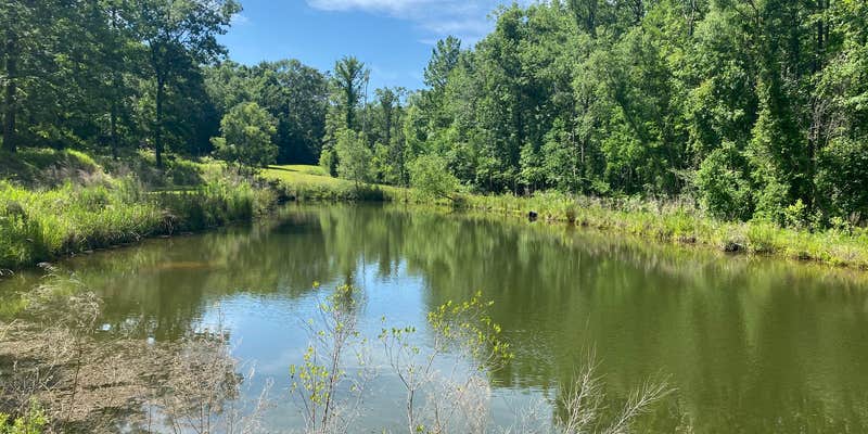 Camper submitted image from Oak Ridge River Park