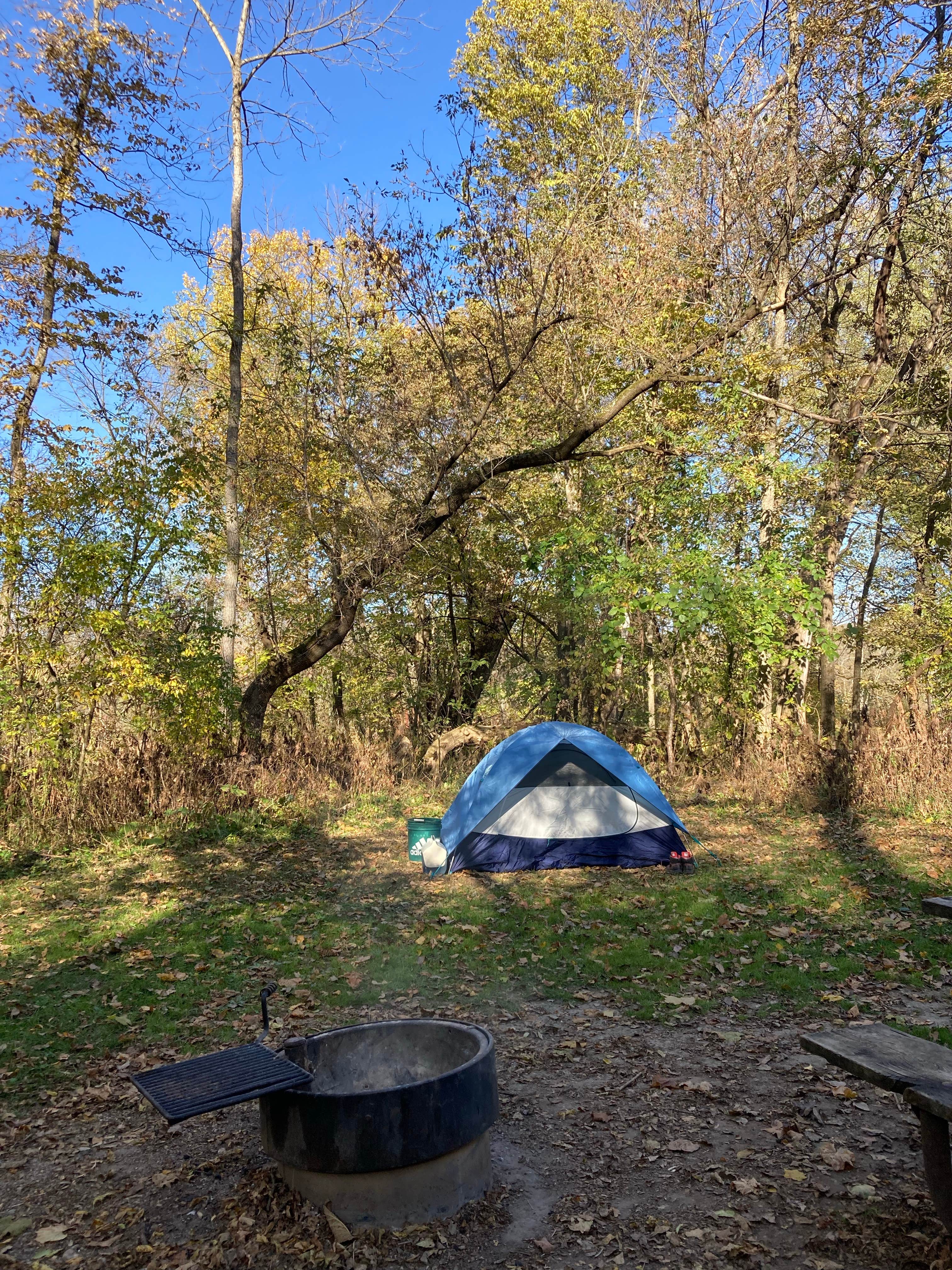 Camper submitted image from Gooseberry Glen Cart-in Campground — Whitewater State Park - 3