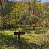Review photo of Gooseberry Glen Cart-in Campground — Whitewater State Park by Molly Y., August 11, 2023