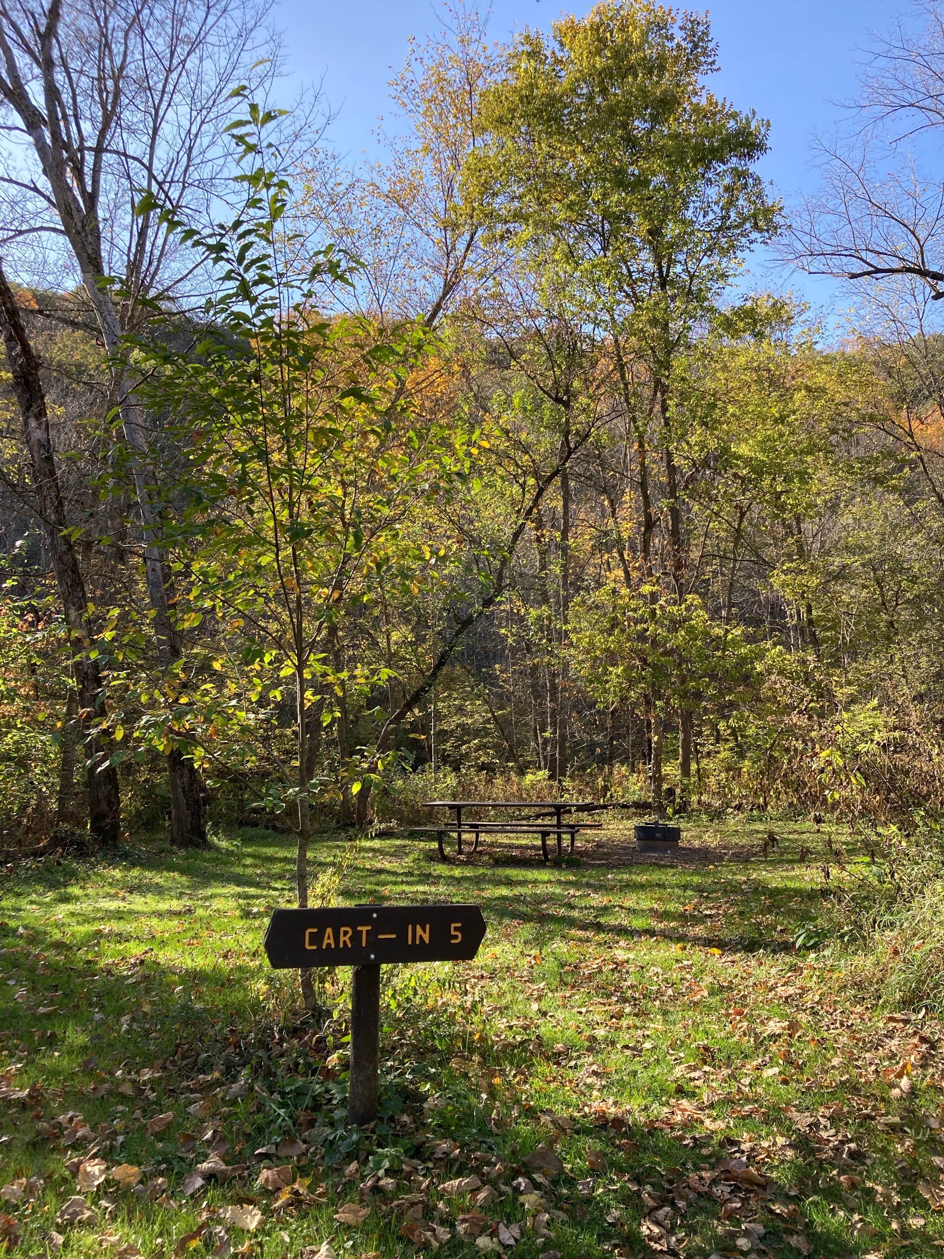 Camper submitted image from Gooseberry Glen Cart-in Campground — Whitewater State Park - 2