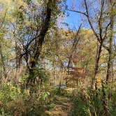 Review photo of Gooseberry Glen Cart-in Campground — Whitewater State Park by Molly Y., August 11, 2023