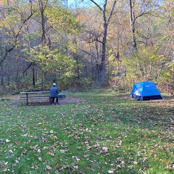 Gooseberry Glen Cart-in Campground — Whitewater State Park | Elba, MN