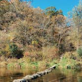 Review photo of Gooseberry Glen Cart-in Campground — Whitewater State Park by Molly Y., August 11, 2023