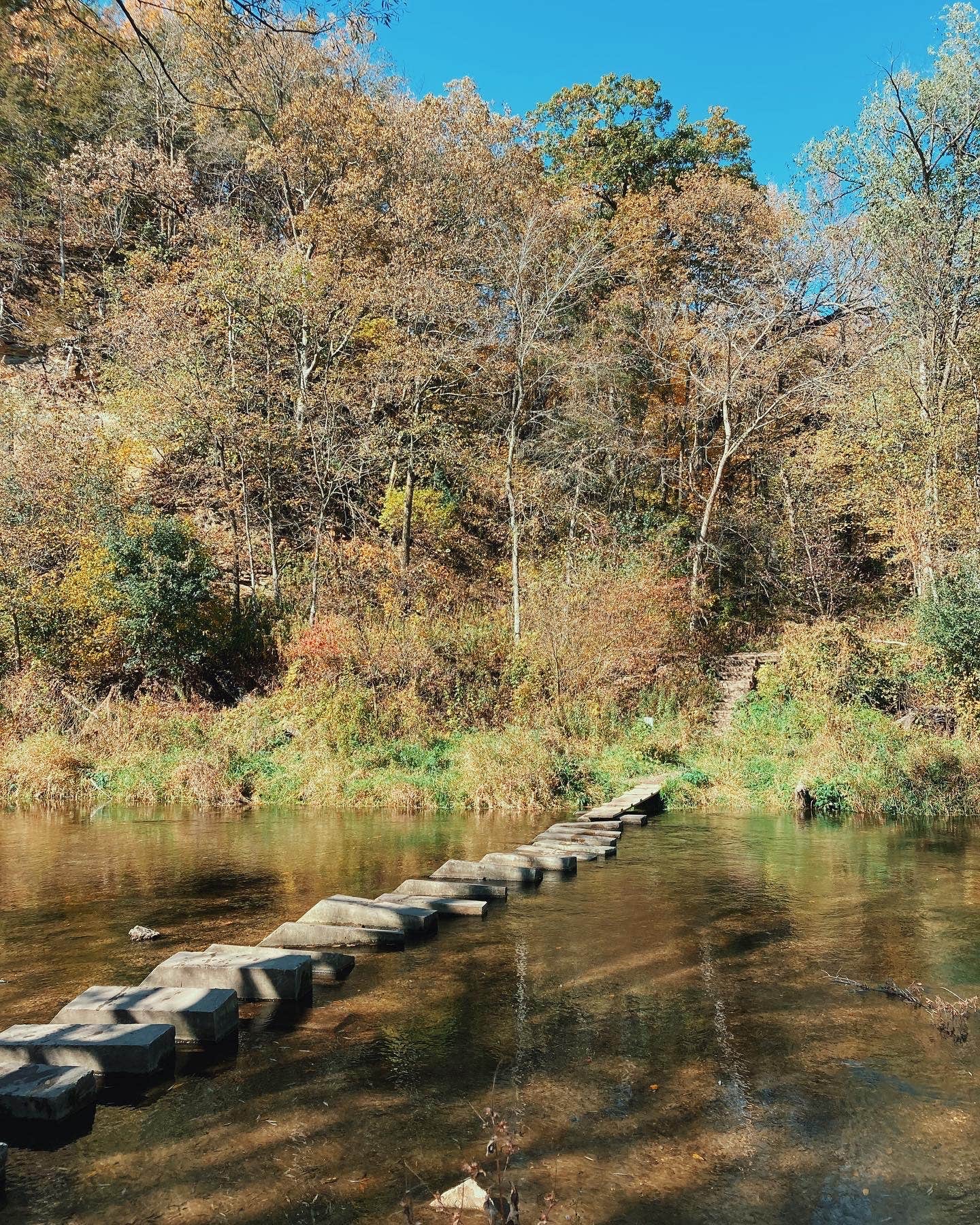 Camper submitted image from Gooseberry Glen Cart-in Campground — Whitewater State Park - 5