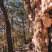 Review photo of Gooseberry Glen Cart-in Campground — Whitewater State Park by Molly Y., August 11, 2023