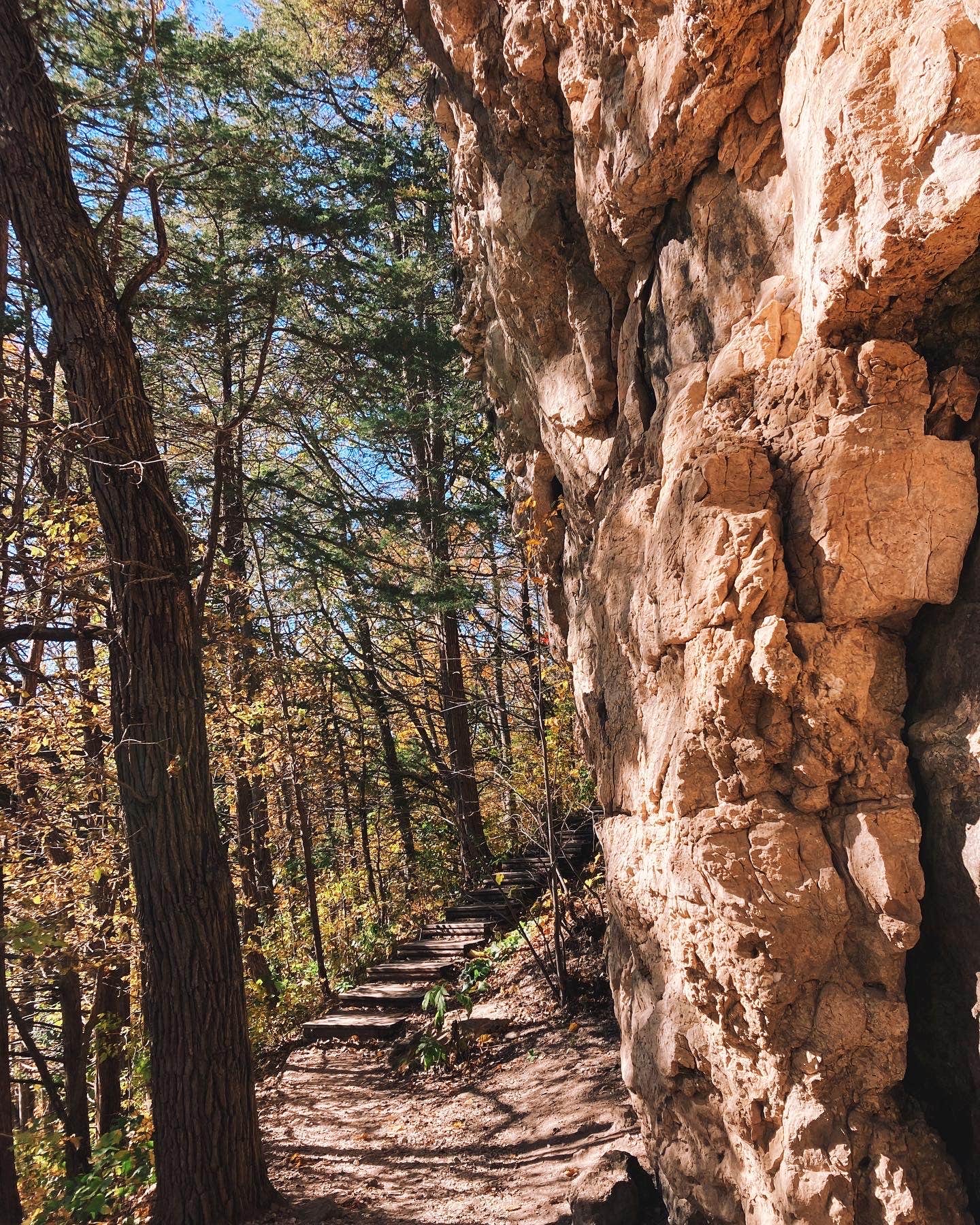 Camper submitted image from Gooseberry Glen Cart-in Campground — Whitewater State Park - 2