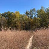 Review photo of Gooseberry Glen Cart-in Campground — Whitewater State Park by Molly Y., August 11, 2023