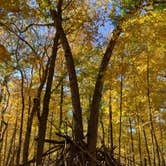 Review photo of Gooseberry Glen Cart-in Campground — Whitewater State Park by Molly Y., August 11, 2023