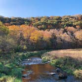 Review photo of Gooseberry Glen Cart-in Campground — Whitewater State Park by Molly Y., August 11, 2023