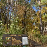 Review photo of Gooseberry Glen Cart-in Campground — Whitewater State Park by Molly Y., August 11, 2023