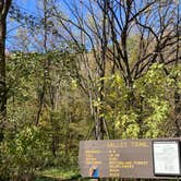 Review photo of Gooseberry Glen Cart-in Campground — Whitewater State Park by Molly Y., August 11, 2023