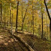 Review photo of Gooseberry Glen Cart-in Campground — Whitewater State Park by Molly Y., August 11, 2023