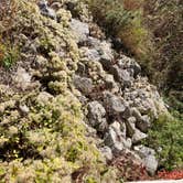 Review photo of Gooseberry Glen Cart-in Campground — Whitewater State Park by Molly Y., August 11, 2023