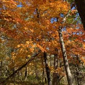 Review photo of Gooseberry Glen Cart-in Campground — Whitewater State Park by Molly Y., August 11, 2023