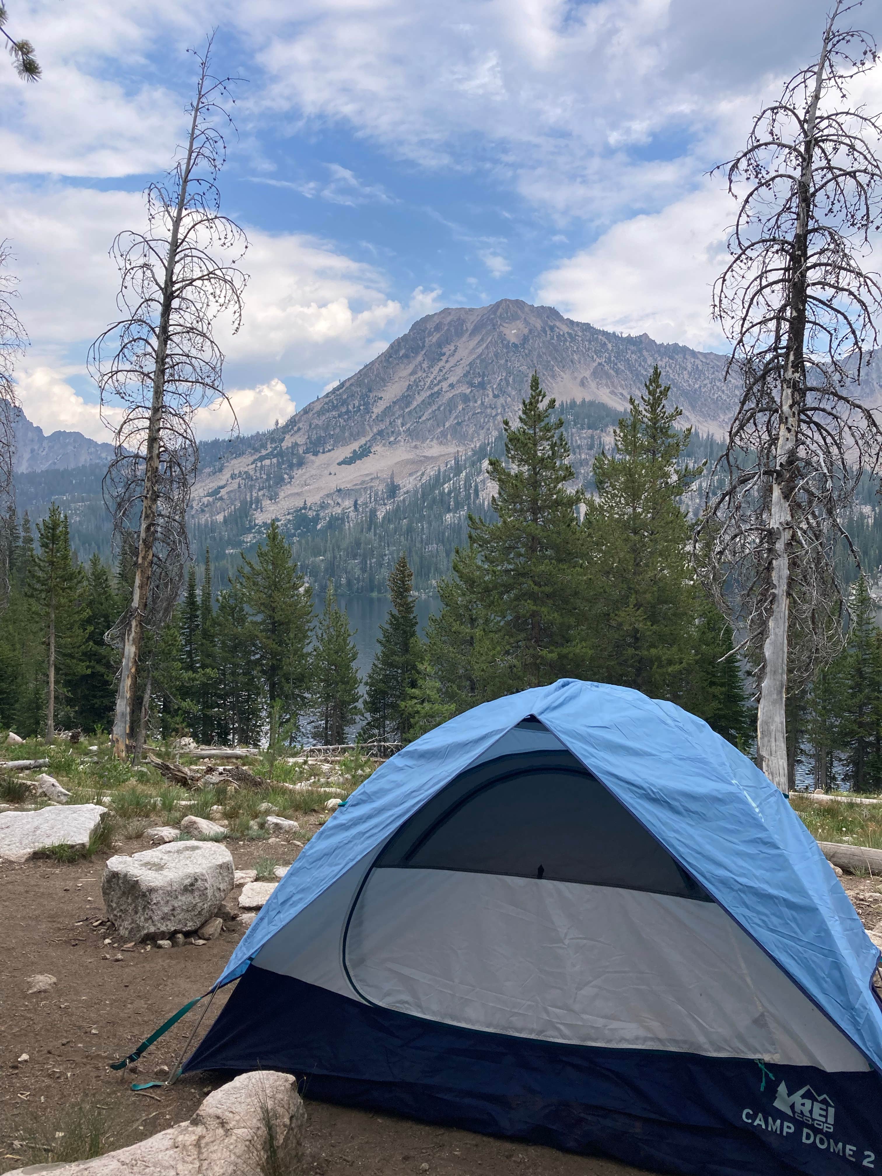 Camper submitted image from Toxaway Lake Primitive Campsite - 4