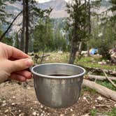 Review photo of Toxaway Lake Primitive Campsite by Molly Y., August 11, 2023