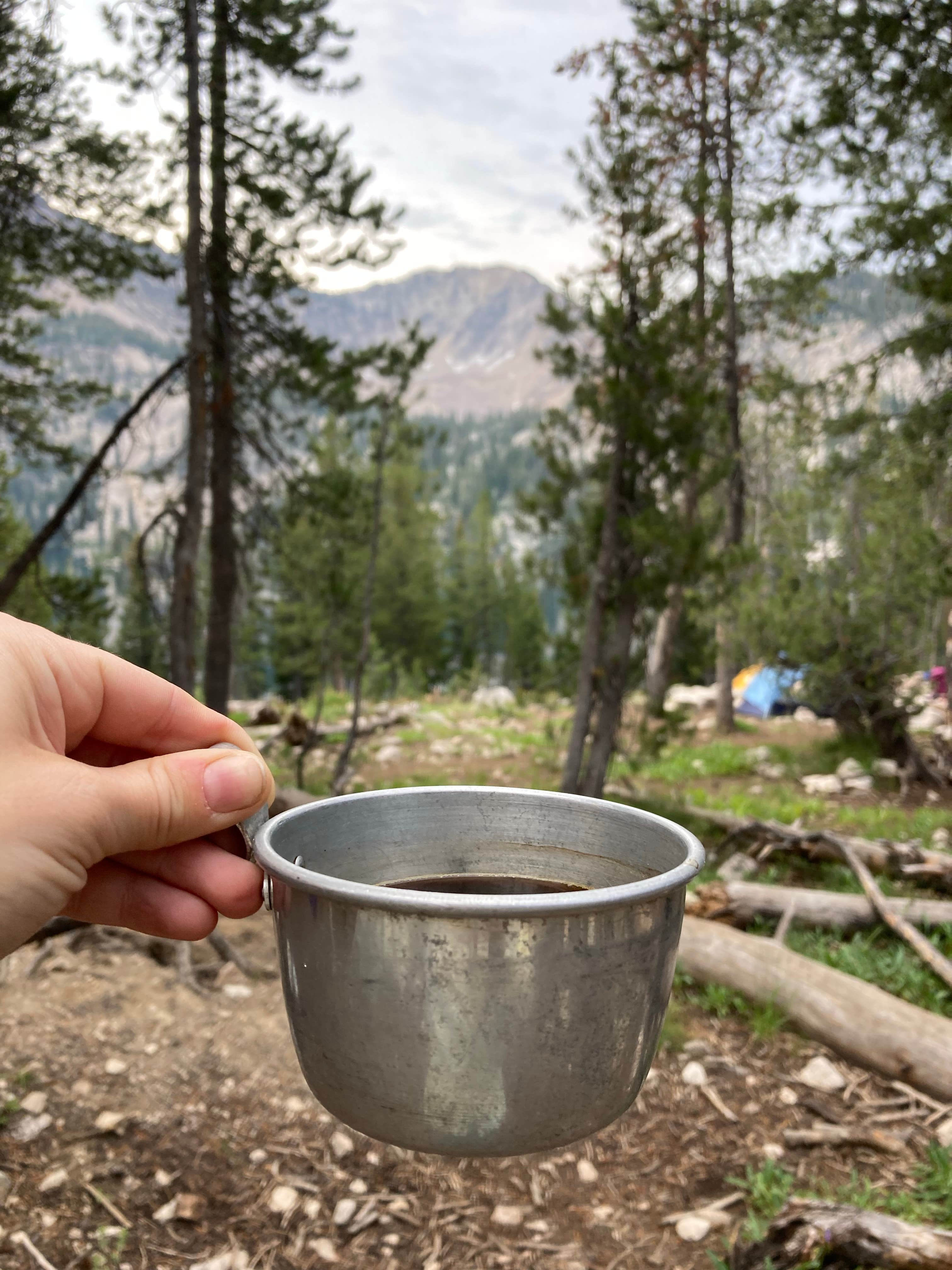 Camper submitted image from Toxaway Lake Primitive Campsite - 3