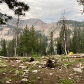 Review photo of Toxaway Lake Primitive Campsite by Molly Y., August 11, 2023