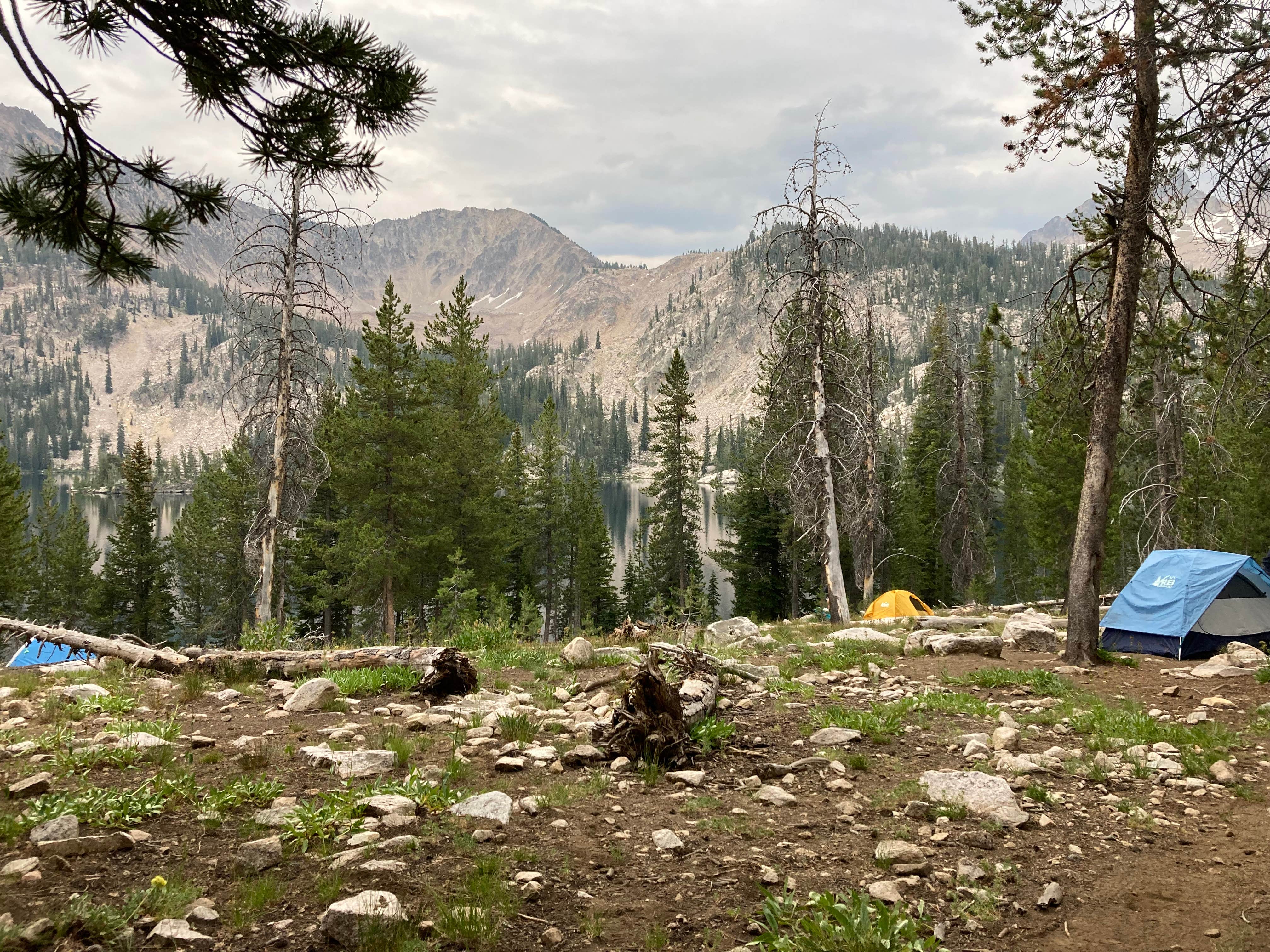 Camper submitted image from Toxaway Lake Primitive Campsite - 1