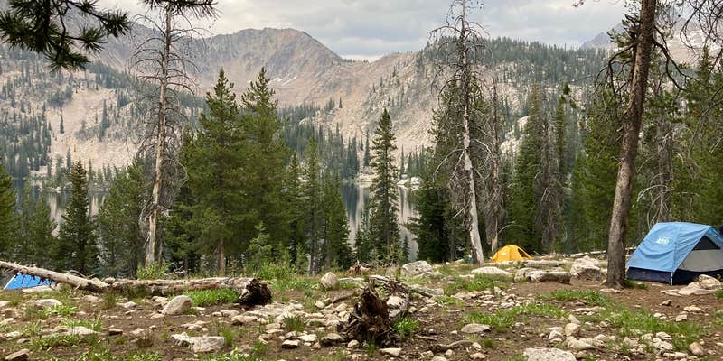 Camper submitted image from Toxaway Lake Primitive Campsite