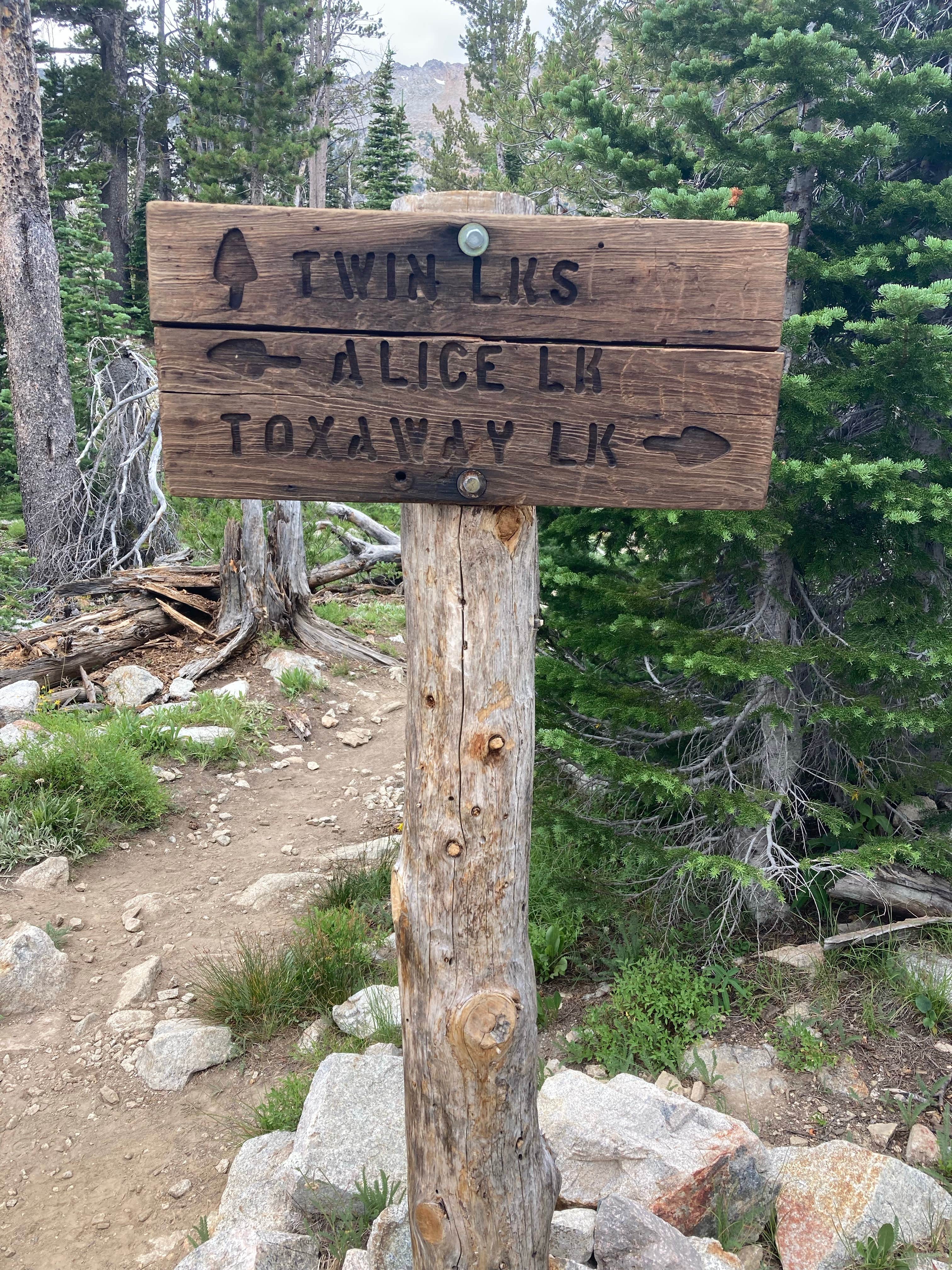 Camper submitted image from Alice Lake Primitive Campsite - Sawtooth National Forest - 2