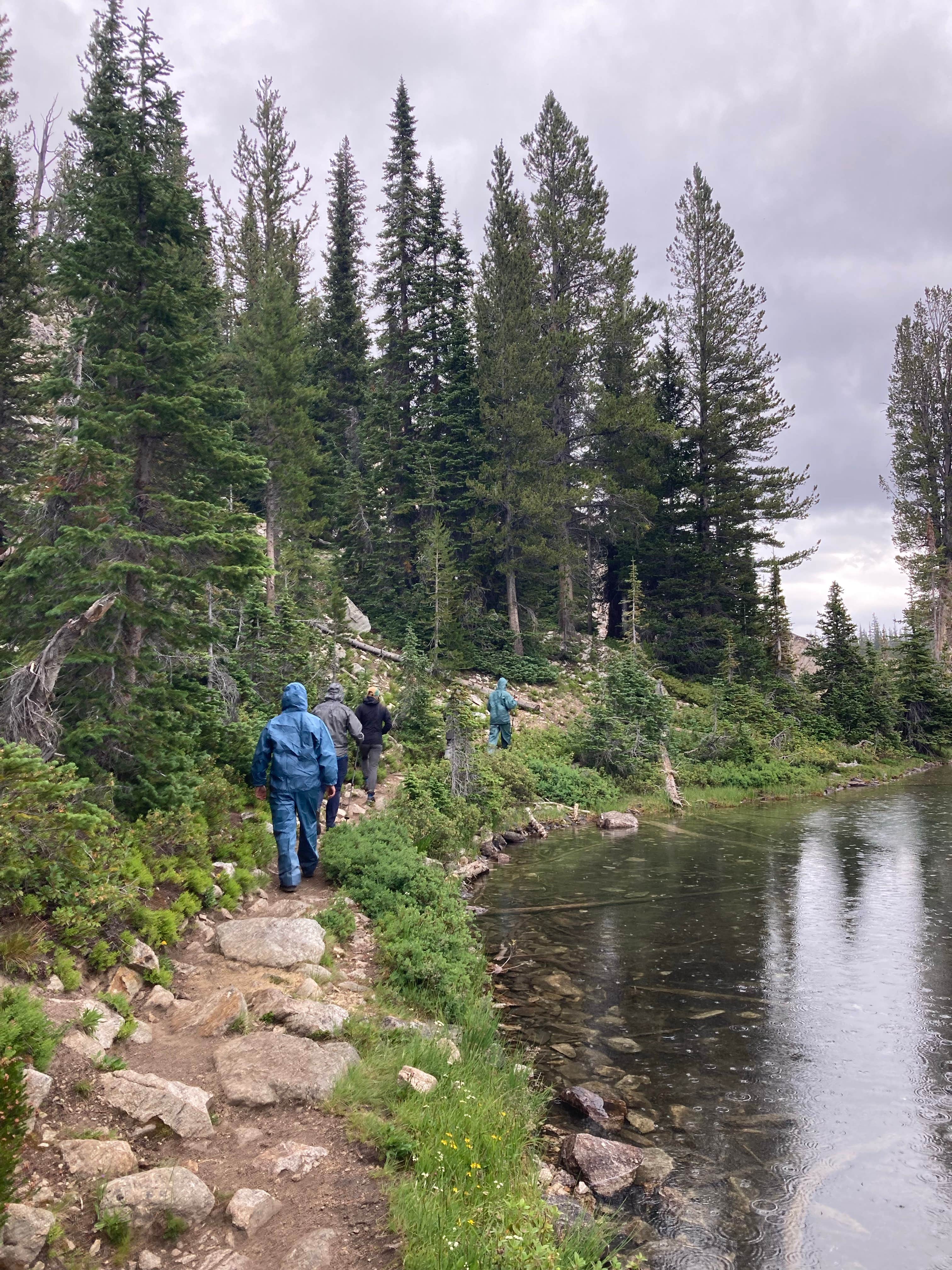 Camper submitted image from Alice Lake Primitive Campsite - Sawtooth National Forest - 4