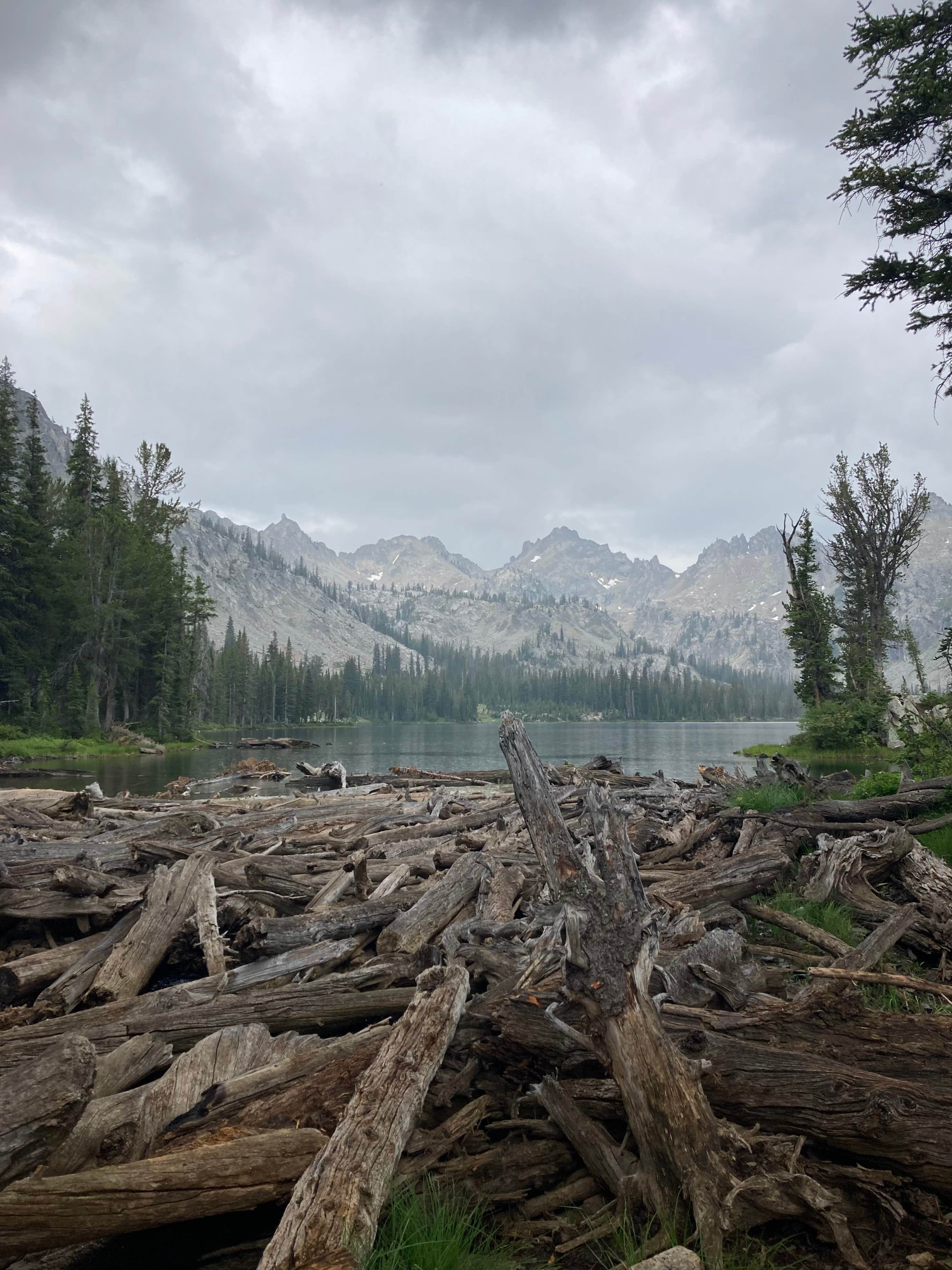 Camper-submitted photo at Alice Lake Primitive Campsite - Sawtooth National Forest near Fairfield, ID