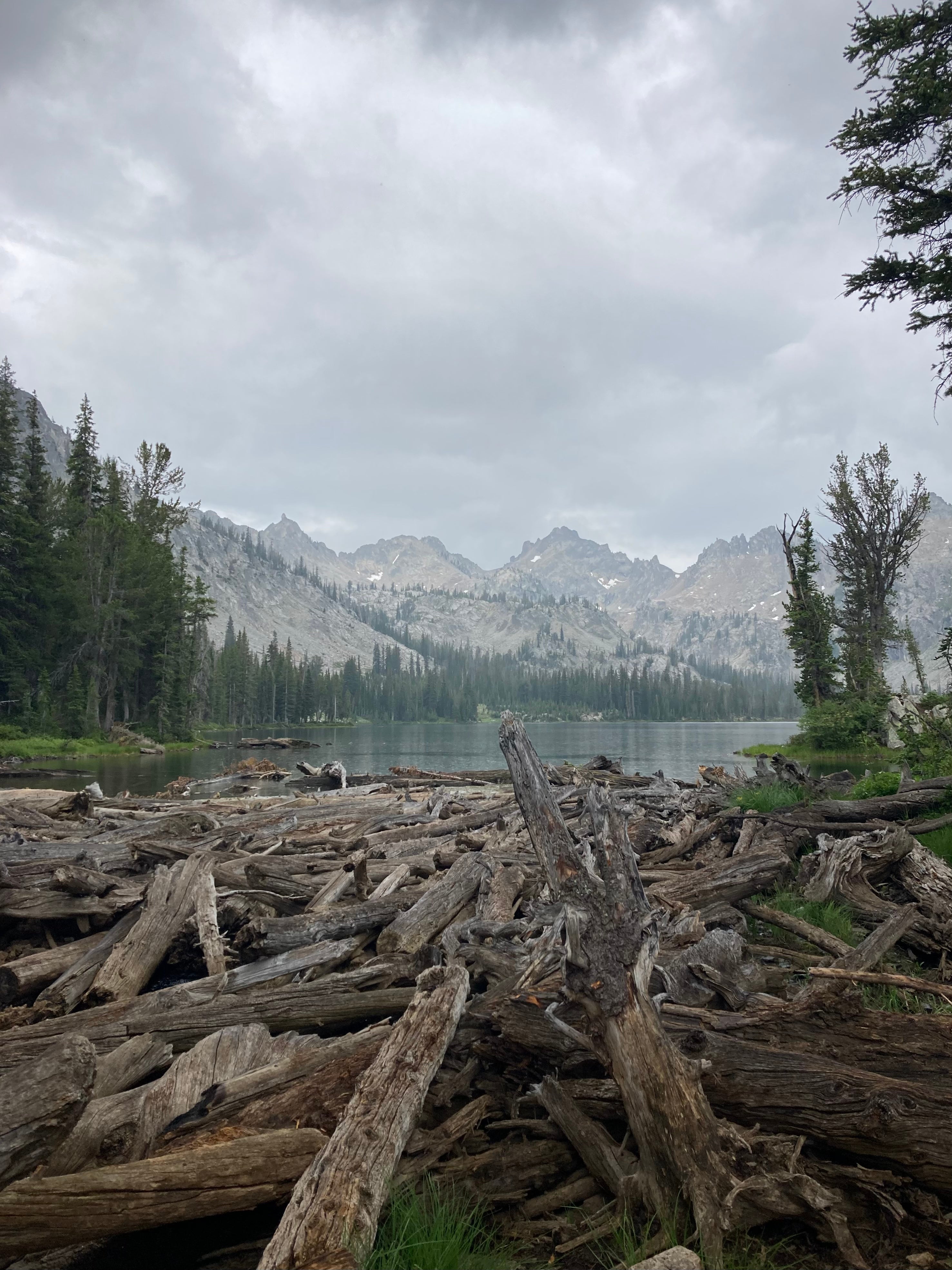 Camper submitted image from Alice Lake Primitive Campsite - Sawtooth National Forest - 2