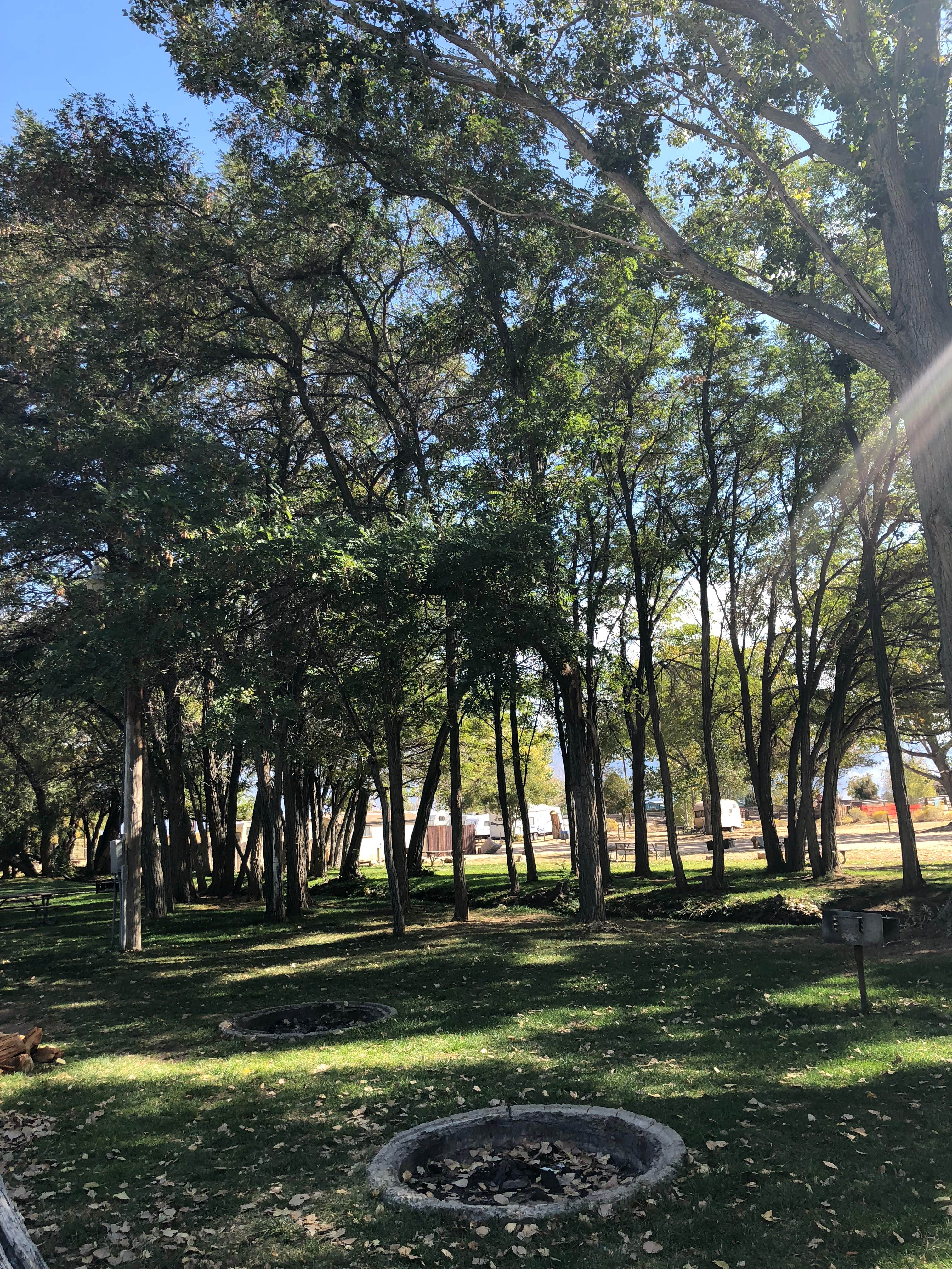 Camper-submitted photo at Brown's Millpond Campground near Bishop, CA