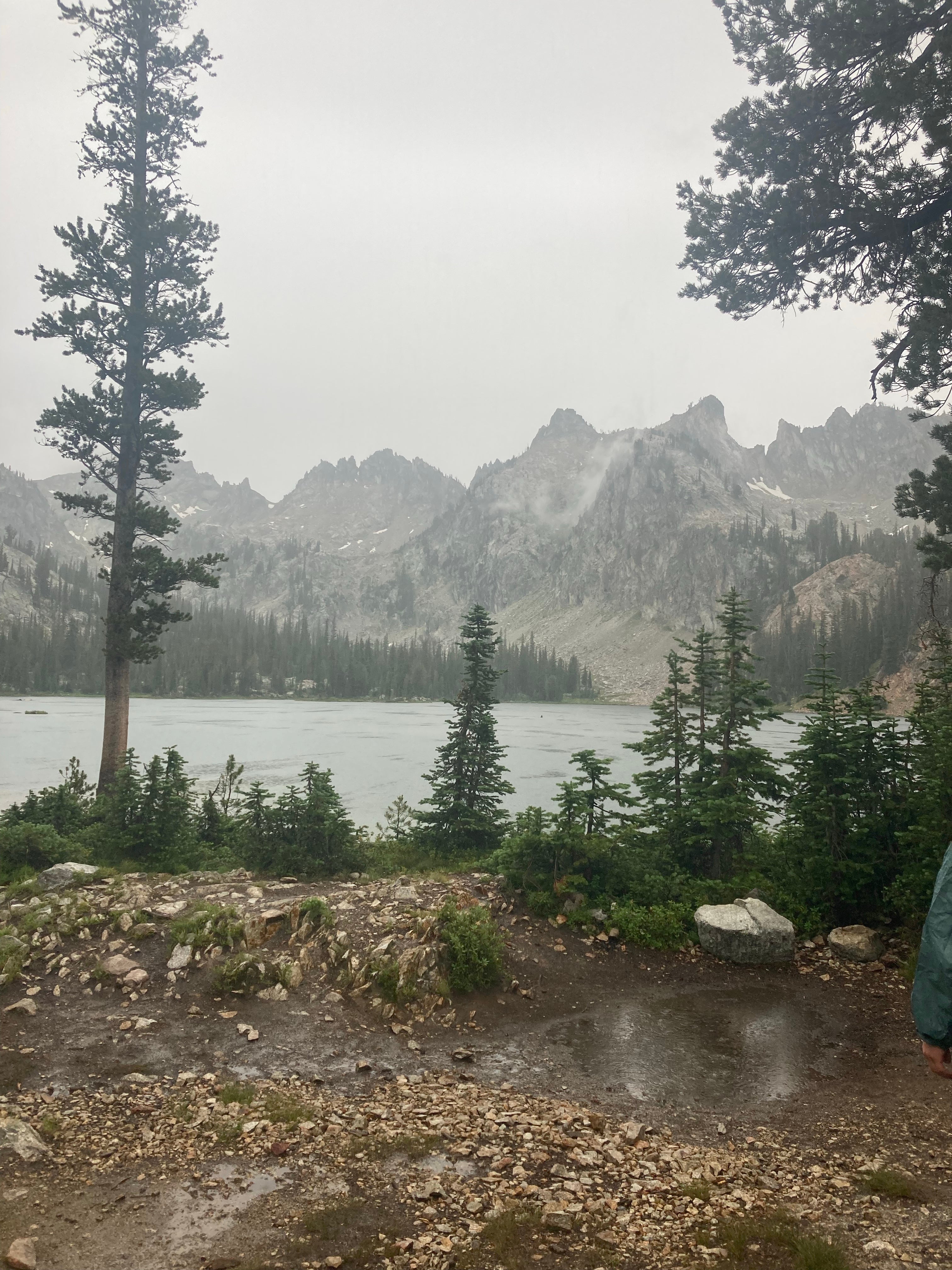 Camper submitted image from Alice Lake Primitive Campsite - Sawtooth National Forest - 3