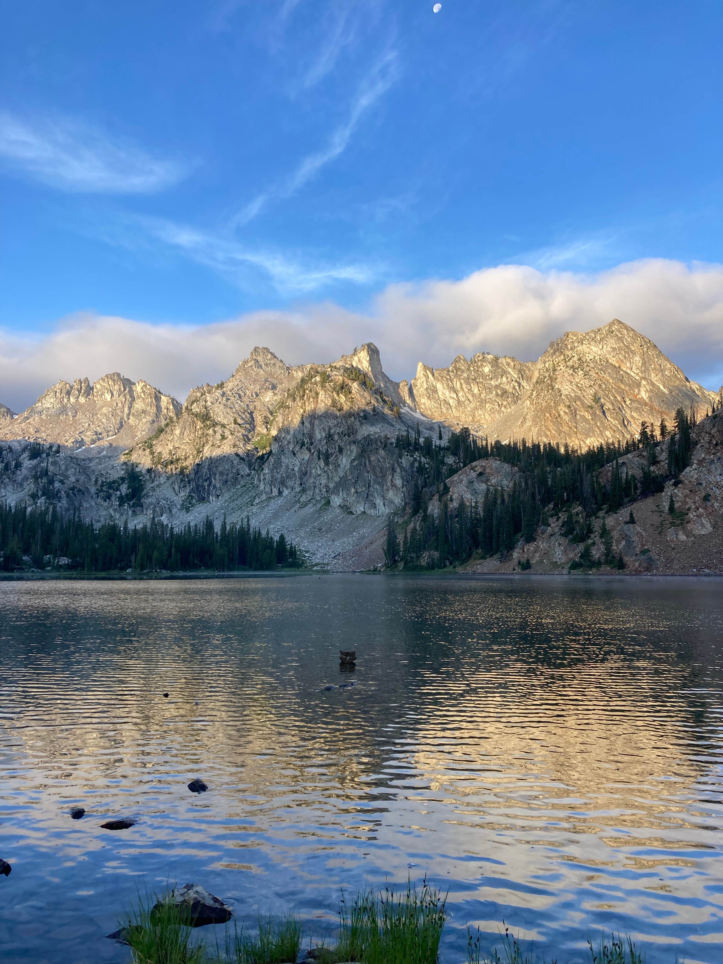 Camper submitted image from Alice Lake Primitive Campsite - Sawtooth National Forest - 5