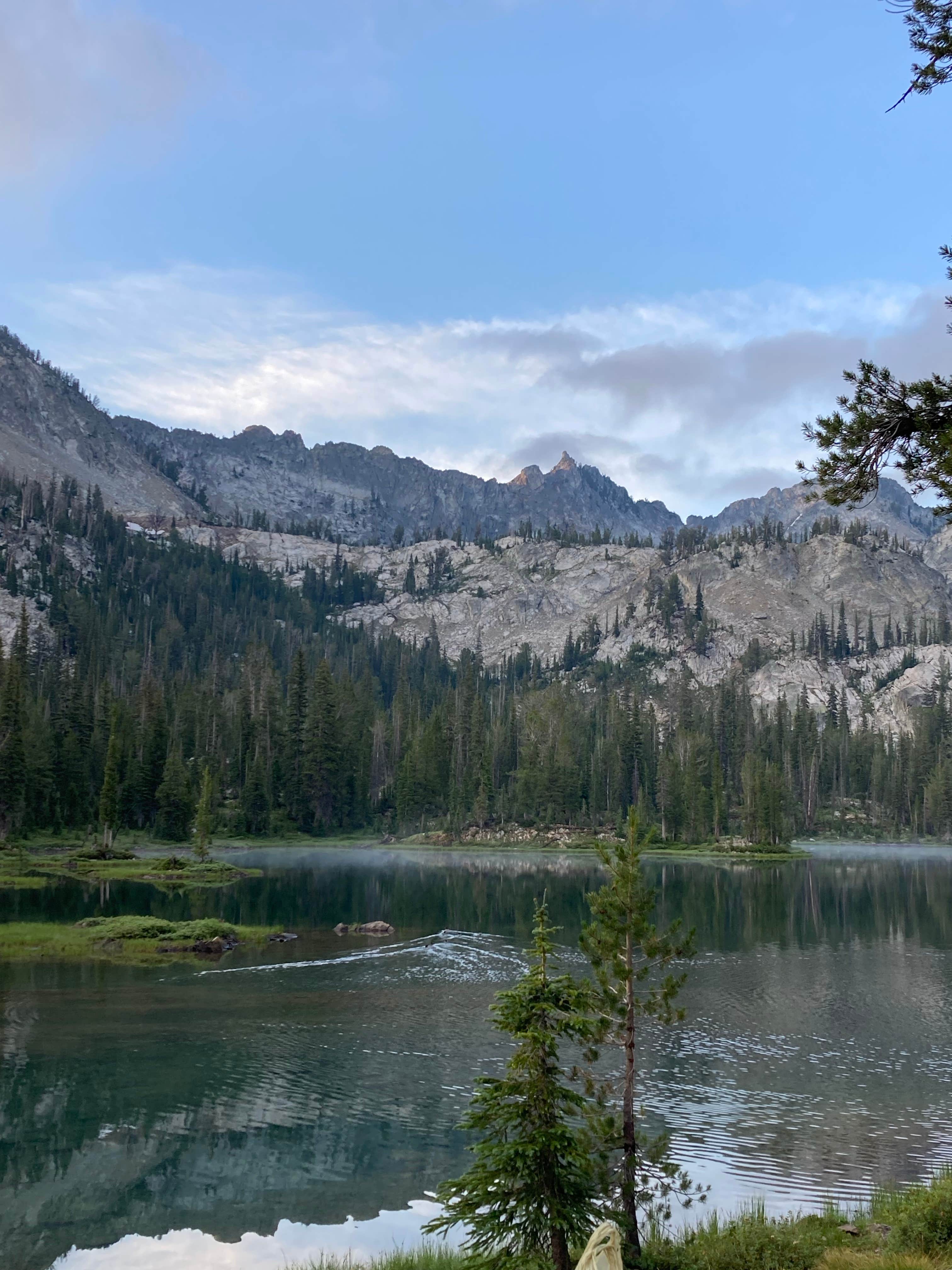 Camper-submitted photo at Alice Lake Primitive Campsite - Sawtooth National Forest near Fairfield, ID