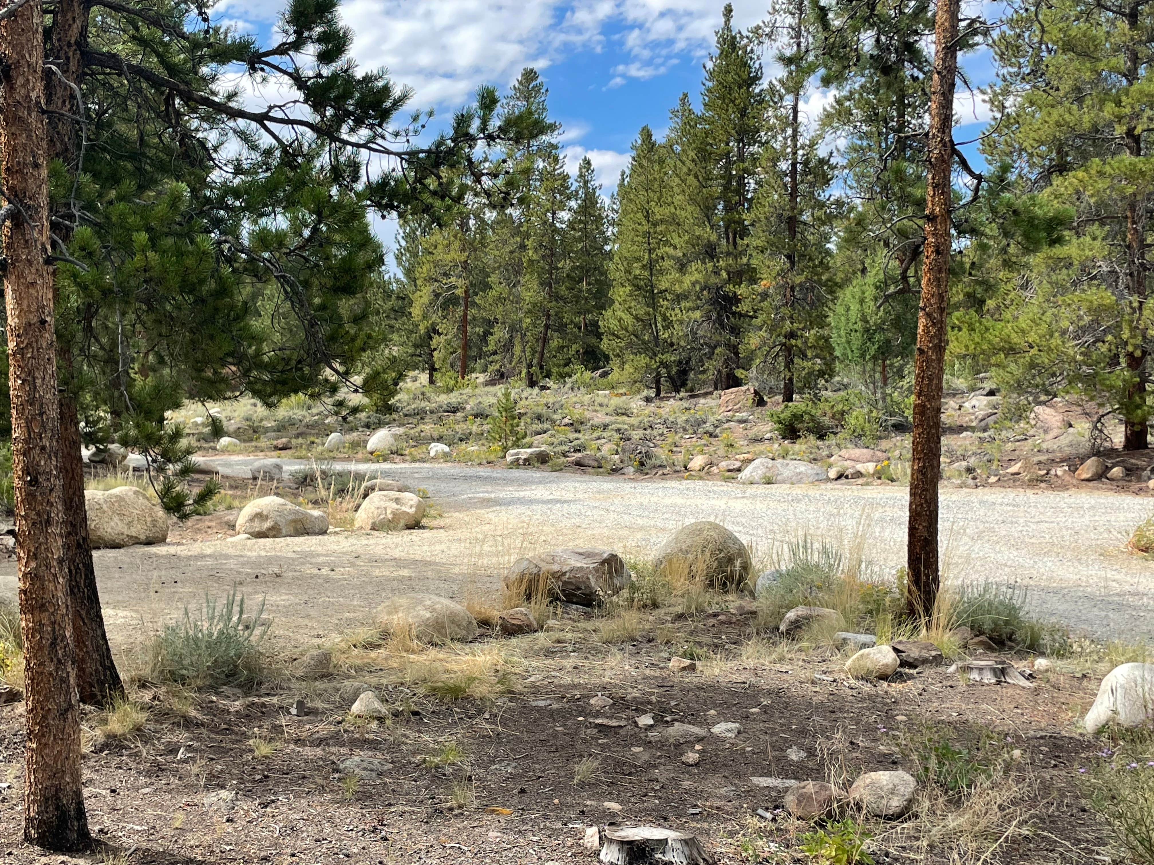 Camper-submitted photo at Granite Rock Camp near Granite, CO