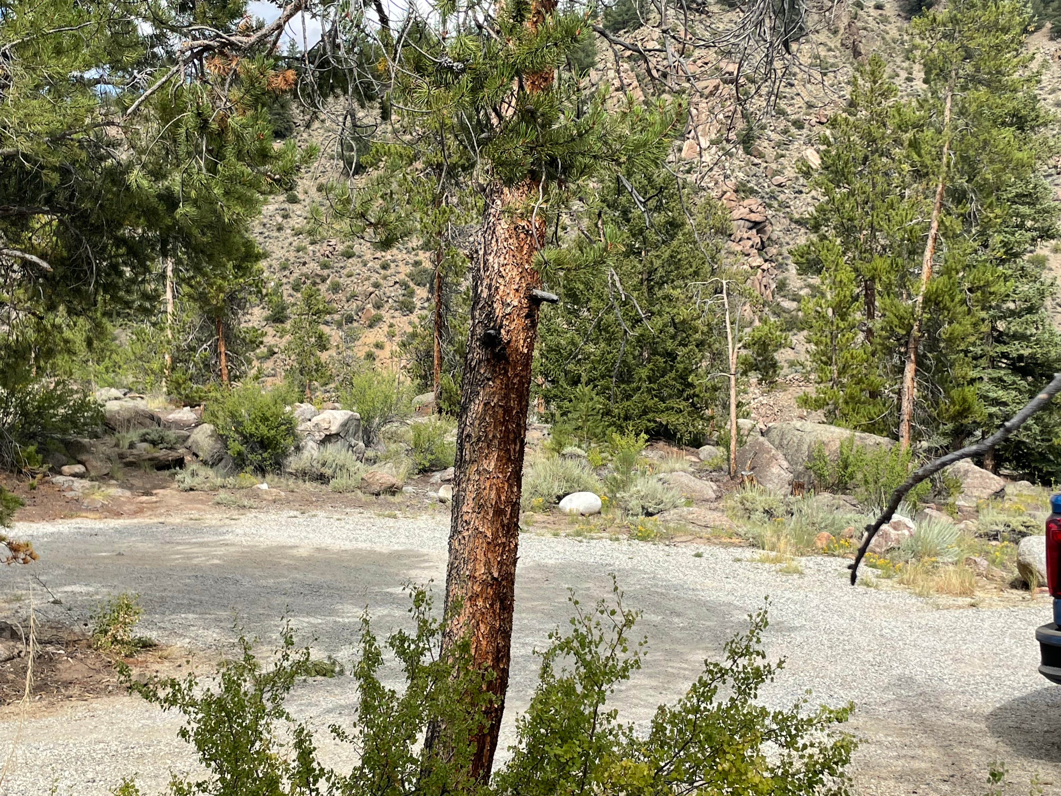 Camper-submitted photo at Granite Rock Camp near Granite, CO